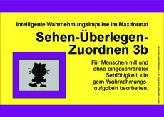 Sehen-Überlegen-Zuordnen 3b.pdf